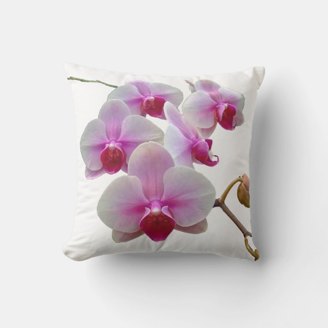 Rosa Motten-Orchideen auf Weiß - Phalaenopsis Kissen (Vorderseite)