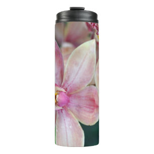 Rosa Mottenorchideen Thermosbecher