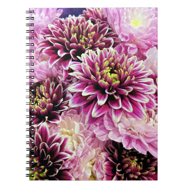 Rosa Mums - Notebook Notizblock (Vorderseite)