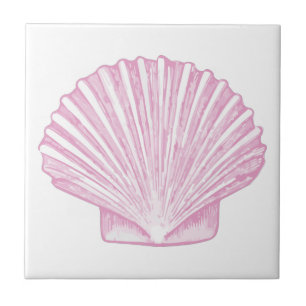 Rosa Muschelschale Küste Fliese
