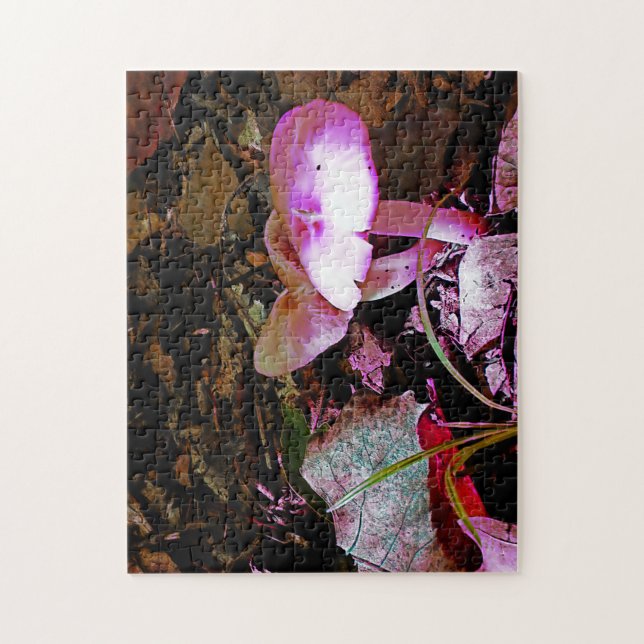 Rosa Mushroom (Vertikal)