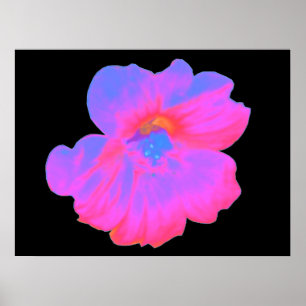 Rosa Nasturtium Print Poster