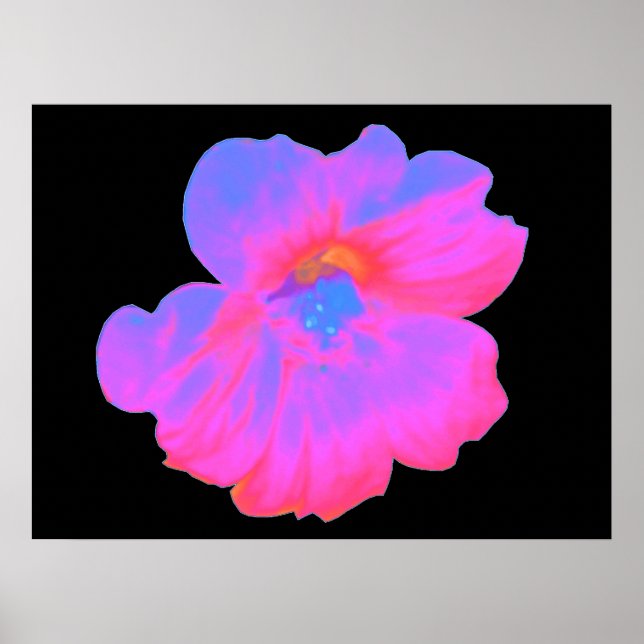 Rosa Nasturtium Print Poster (Vorne)