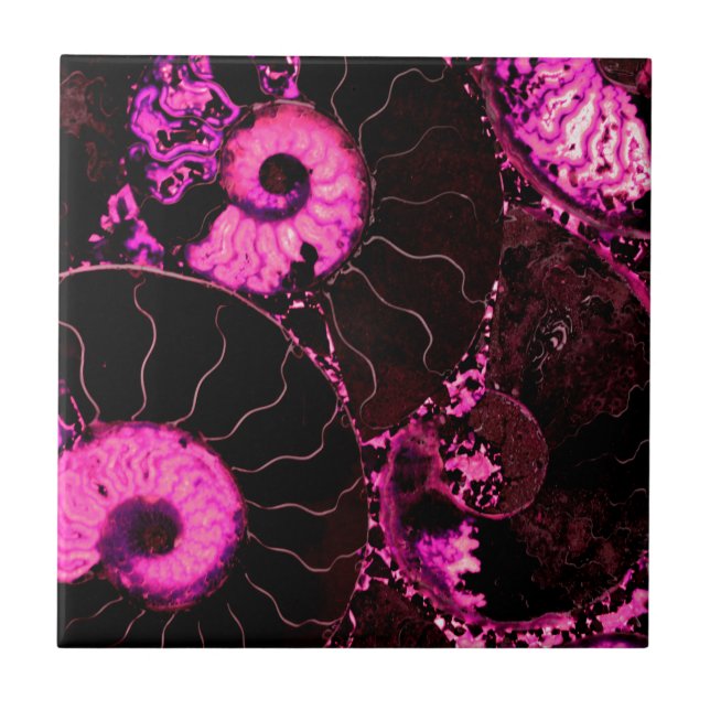 Rosa Nautilus-Fossilien-Muschel Fliese (Vorderseite)