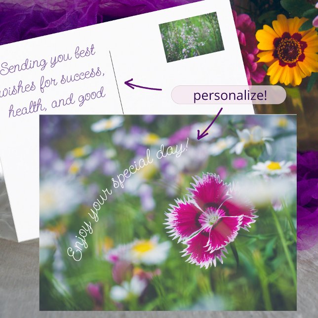 Rosa Nelke mit Gänse Feiertagspostkarte (Von Creator hochgeladen)