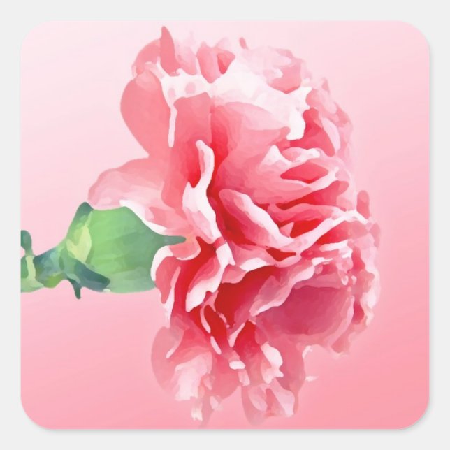Rosa Nelke Quadratischer Aufkleber (Vorderseite)