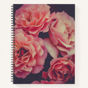 Rosa Nelken Blume Notizbuch