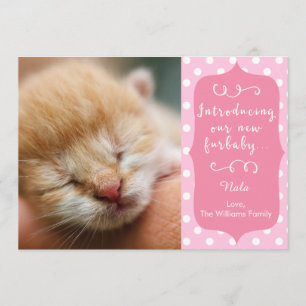 Rosa neue Furbaby Mitteilung Ankündigung