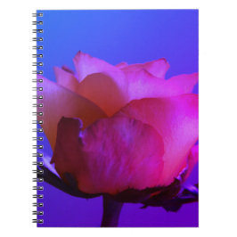 Rosa-Notebook Notizblock