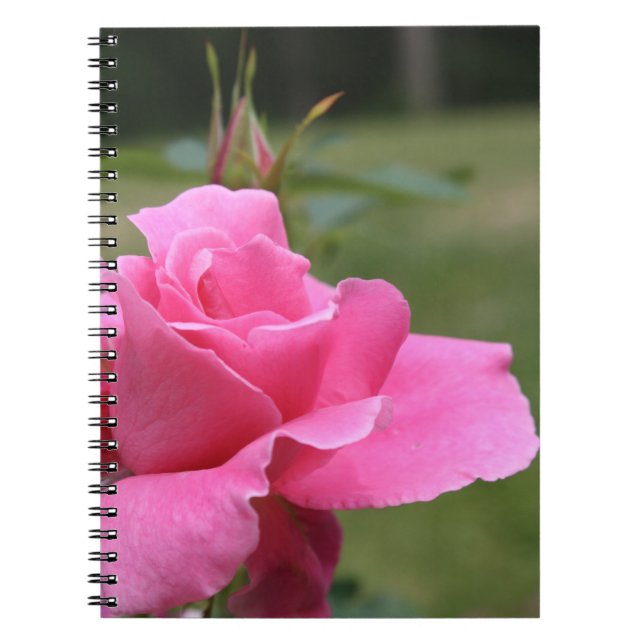 Rosa-Notizbuch Notizblock (Vorderseite)