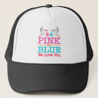 Rosa oder Blau Wir Liebe Ihnen Geschlecht Storch o