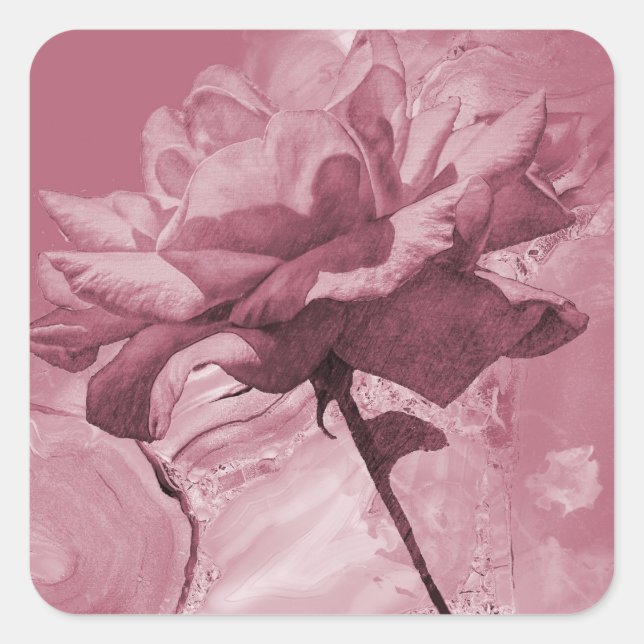 Rosa Offene Rose Quadratischer Aufkleber (Vorderseite)