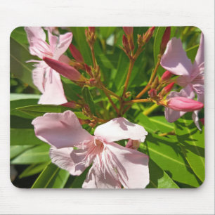 Rosa Oleander Blumen-Mauspad Botanischer Garten De Mousepad