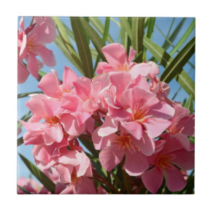 Rosa Oleander Fliese