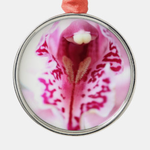 Rosa Orchid-Blume geschlossen Silbernes Ornament