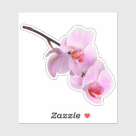 Rosa Orchid-Blume Kiss-Schnitt Aufkleber