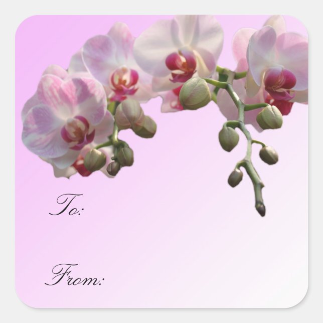 Rosa orchid Blume, Weihnachtsgeschenketiketten. Quadratischer Aufkleber (Vorderseite)