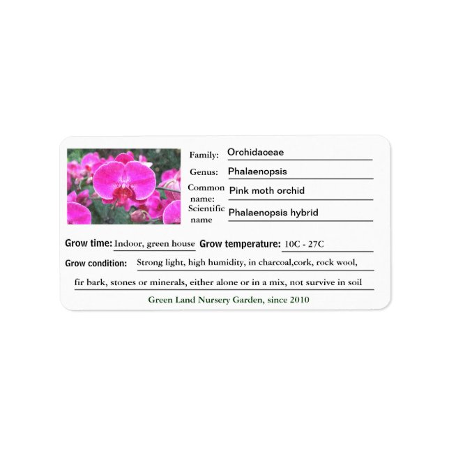 Rosa orchid Blumen Garten Etiketten. Adressaufkleber (Vorne)