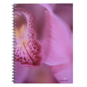 Rosa Orchid-Notebook Notizblock