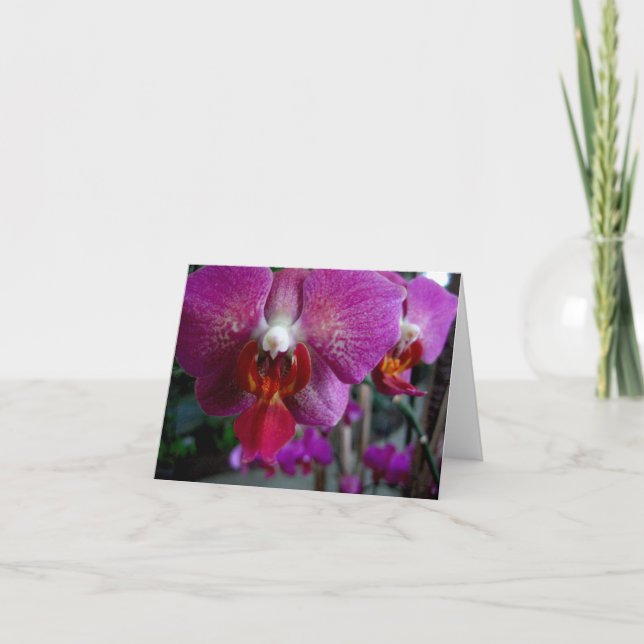Rosa Orchid Notecard Karte (Vorderseite)