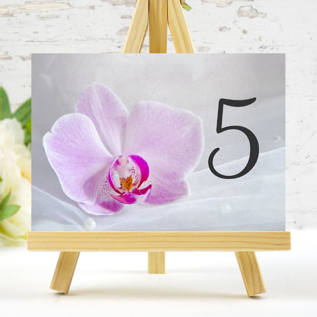 Rosa Orchid und Bridal Veil Hochzeitsfeiern Tischn Tischnummer (Von Creator hochgeladen)