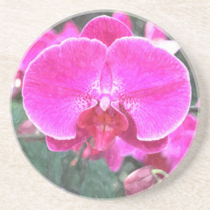 Rosa orchide Blume, Blumenfotografie Getränkeuntersetzer