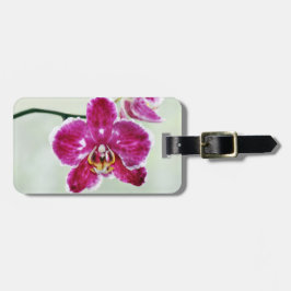 Rosa Orchidee Gepäckanhänger