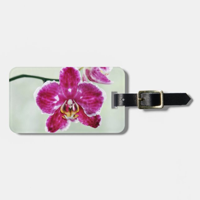 Rosa Orchidee Gepäckanhänger (Vorderseite horizontal)