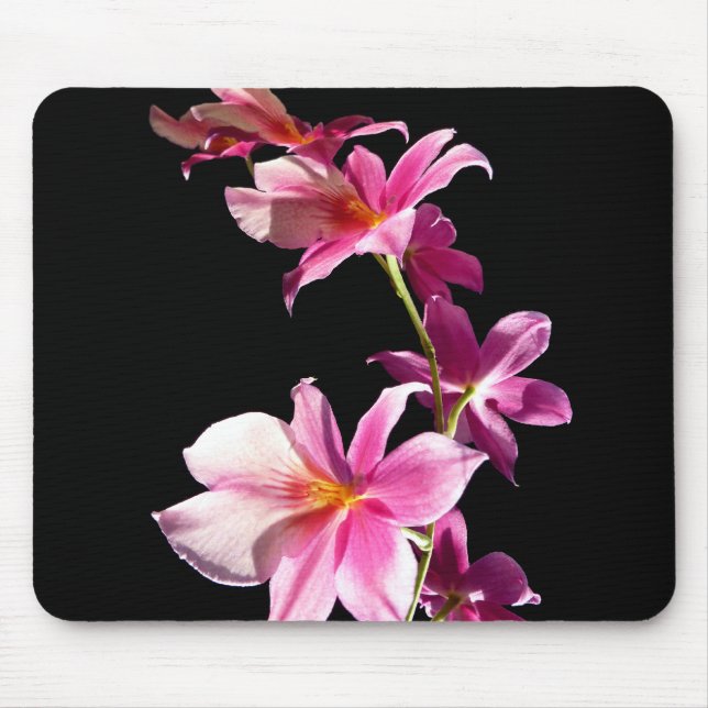 Rosa Orchidee Mousepad (Vorne)