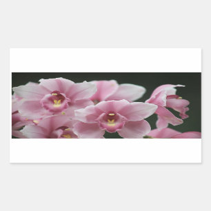 Rosa Orchidee nahe Rechteckaufkleber Rechteckiger Aufkleber