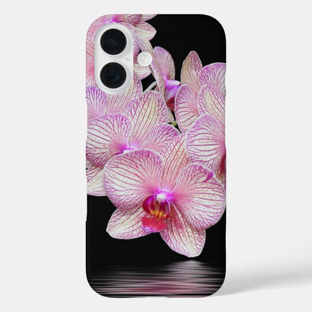 Rosa Orchideen auf schwarz iPhone 16 Hülle (Rückseite)
