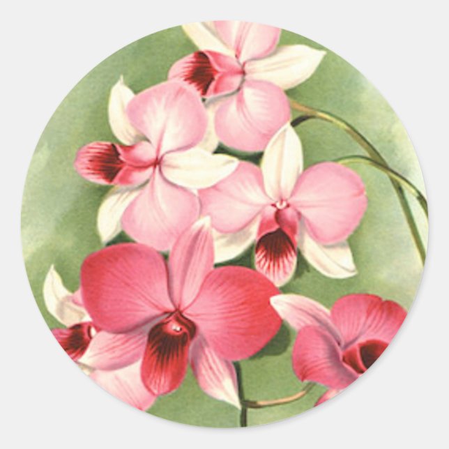 Rosa Orchideen - Aufkleber (Vorderseite)