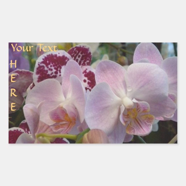 Rosa Orchideen Aufkleber. *personalisieren* Rechteckiger Aufkleber (Vorderseite)