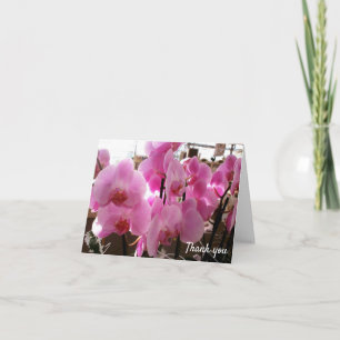 Rosa Orchideen Blume Karte