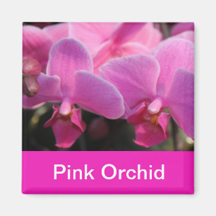 Rosa Orchideen-Blume Magnet