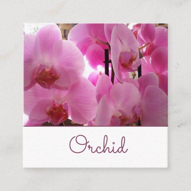 Rosa Orchideen-Blumen Quadratische Visitenkarte (Vorderseite)