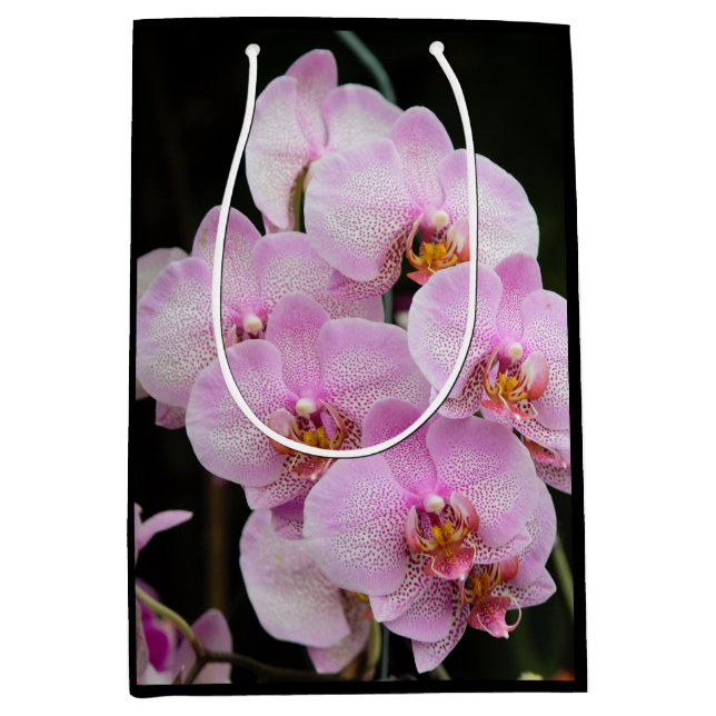 Rosa Orchideen Mittlere Geschenktüte (Vorderseite)