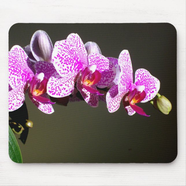 Rosa Orchideen Mousepad (Vorne)