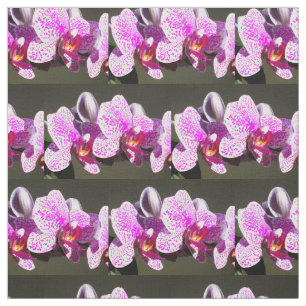 Rosa Orchideen Stoff