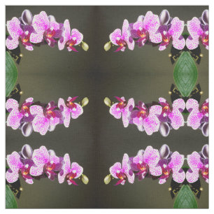 Rosa Orchideen Stoff