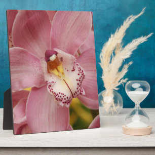 Rosa Orchids Plaque Fotoplatte