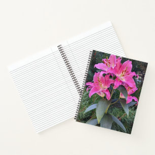 Rosa Orientalische Lilien Blumen Notizbuch