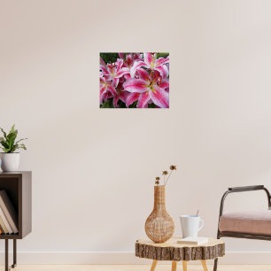 Rosa Orientalische Lilien Florale Fotografie Poster
