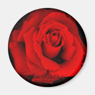 Rosa "Osaka Rose" : Magnet rond