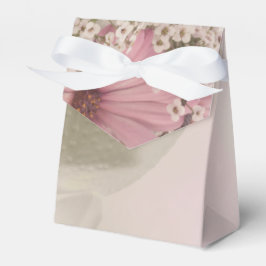 Rosa Osteospernum Geschenkschachtel