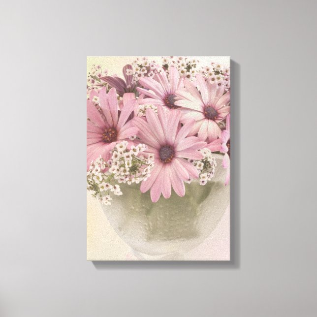 Rosa Osteospernum Leinwanddruck (Vorderseite)