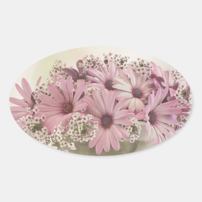 Rosa Osteospernum Ovaler Aufkleber (Vorderseite)
