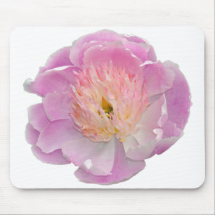 Rosa Paillone Mousepad
