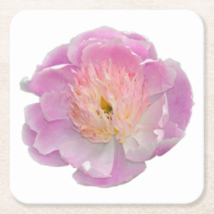 Rosa Paillone Rechteckiger Pappuntersetzer