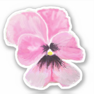 Rosa Pansykonturnaufkleber Aufkleber